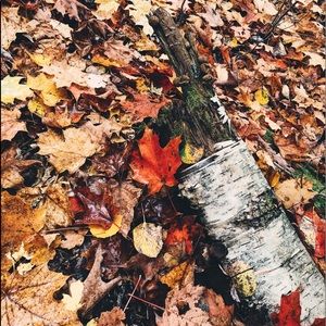 Meet your Posher, Sindy